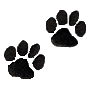 Small Paw Prints